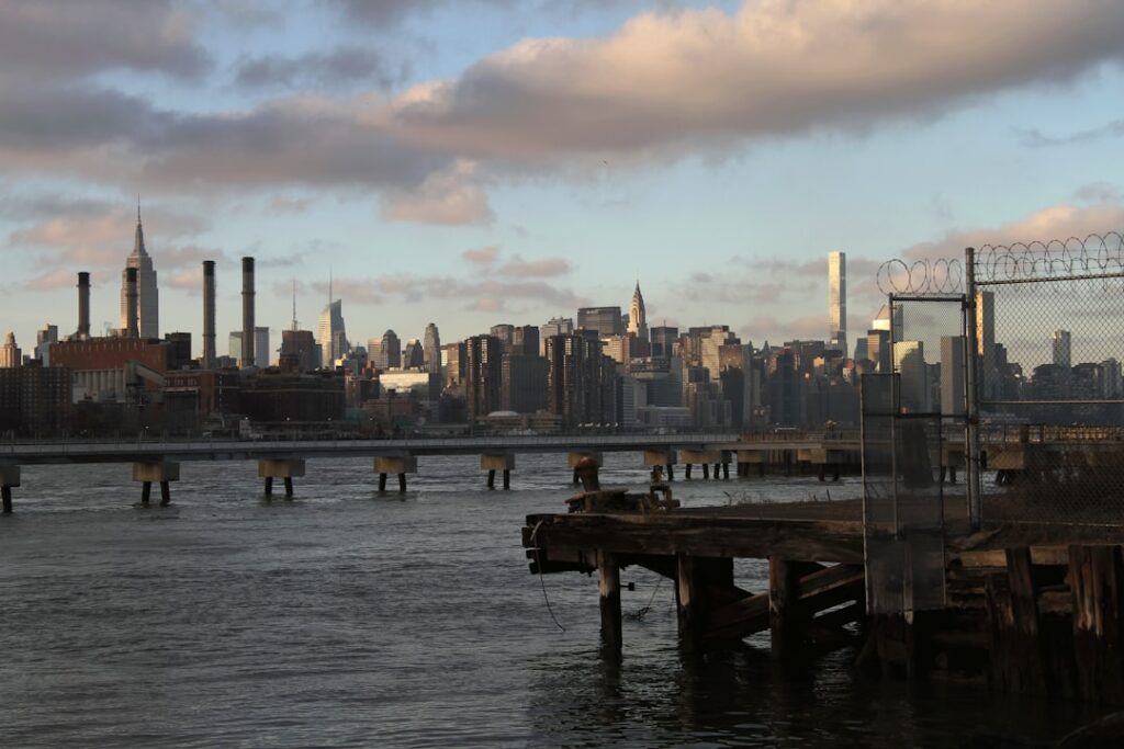 Photo by Helio E. López Vega on Unsplash